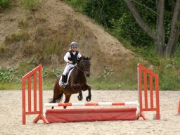 2012 Sommerturnering